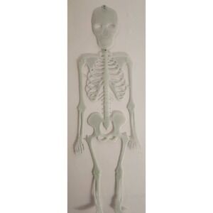 Vintage Plastic Hinged‎ Skeleton Bones Wall hanging Halloween Spooky 35" EUC
